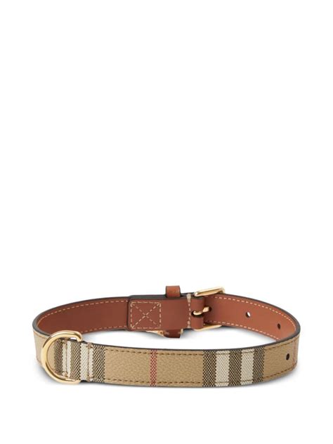 burberry hundehalsbånd